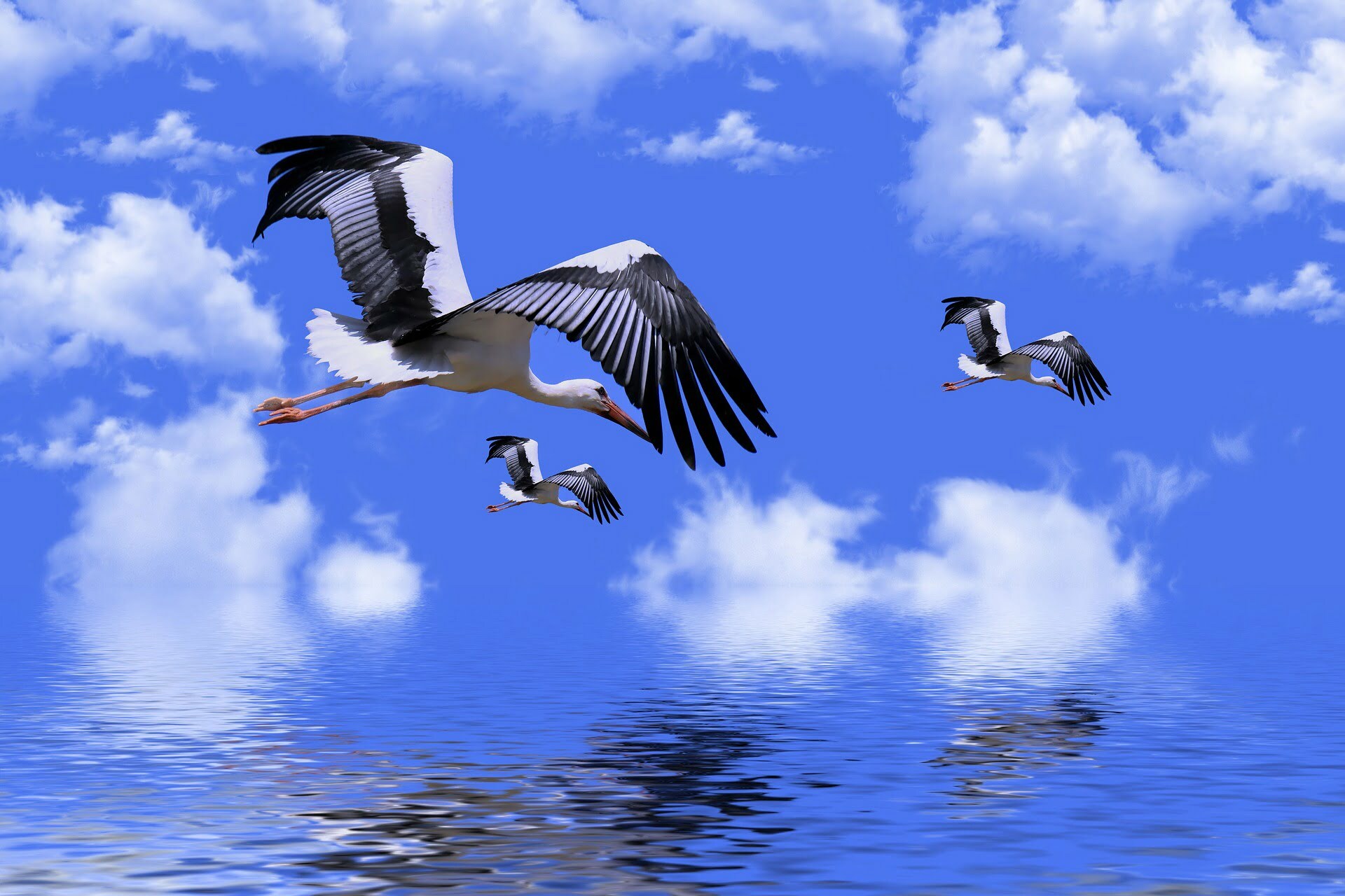 Doubling Up by Lydia Penn