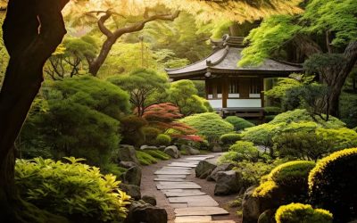 Journey of enlightenment